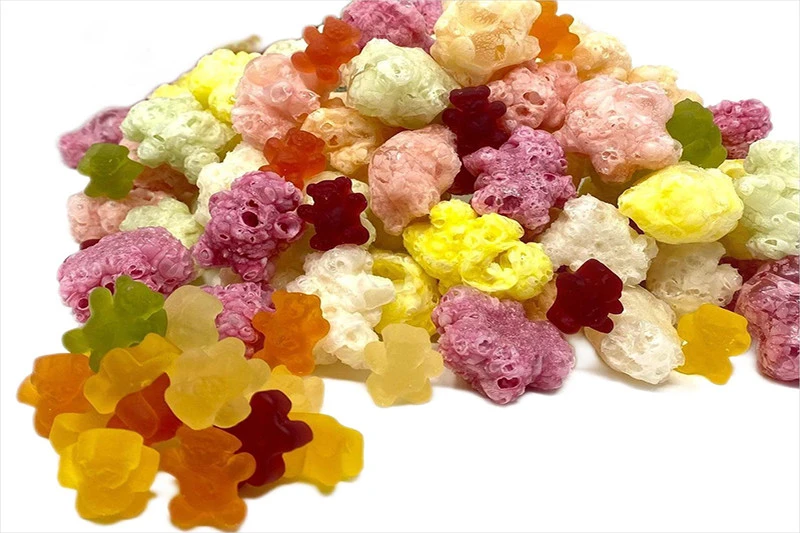Home Freeze-Drying